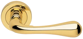 ASTRO R2 OTL, ручка дверная, цвет - золото