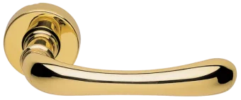 RING R3-E OTL, ручка дверная, цвет - золото