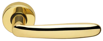 IMOLA R3-E OTL, ручка дверная, цвет - золото