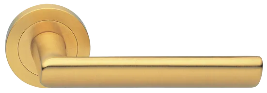 STELLA R2 OSA, ручка дверная, цвет - матовое золото фото купить Ярославль
