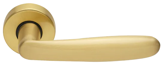 IMOLA R3-E OSA, ручка дверная, цвет - матовое золото фото купить Ярославль