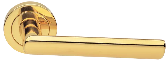 STELLA R2 OTL, ручка дверная, цвет - золото фото купить Ярославль